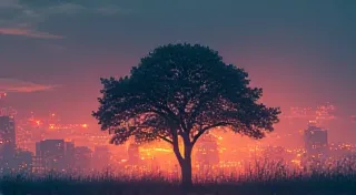 Light Pollution's Shadow: Strategies for Observing in an Urban Sky